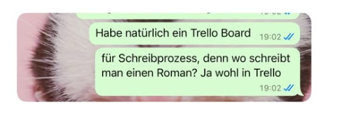 Screenshot WhatsApp: Hab nat&uuml;rlich ein Trello Board