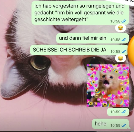 Screenshot WhatsApp: Ich schreib ja meine Geschichte, niemand anderes, haha!
